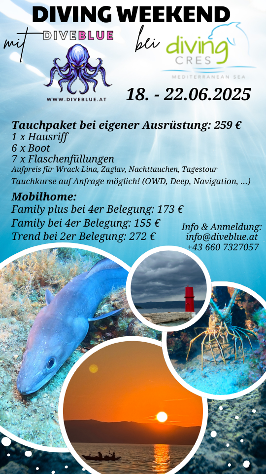 Blue_and_Orange_Fun_Scuba_Diving_Promo_Instagram_Story.png