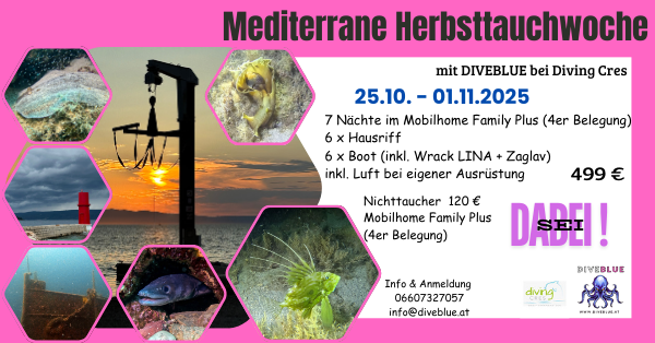 Mediterrane Herbsttauchwoche 2025 2