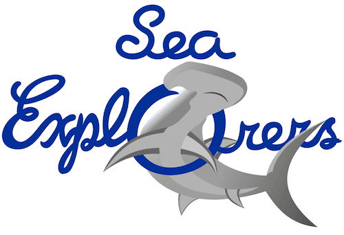 logo with white border.png.webp