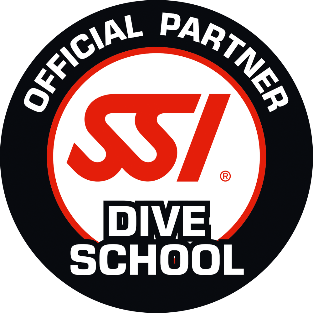 Dive School small